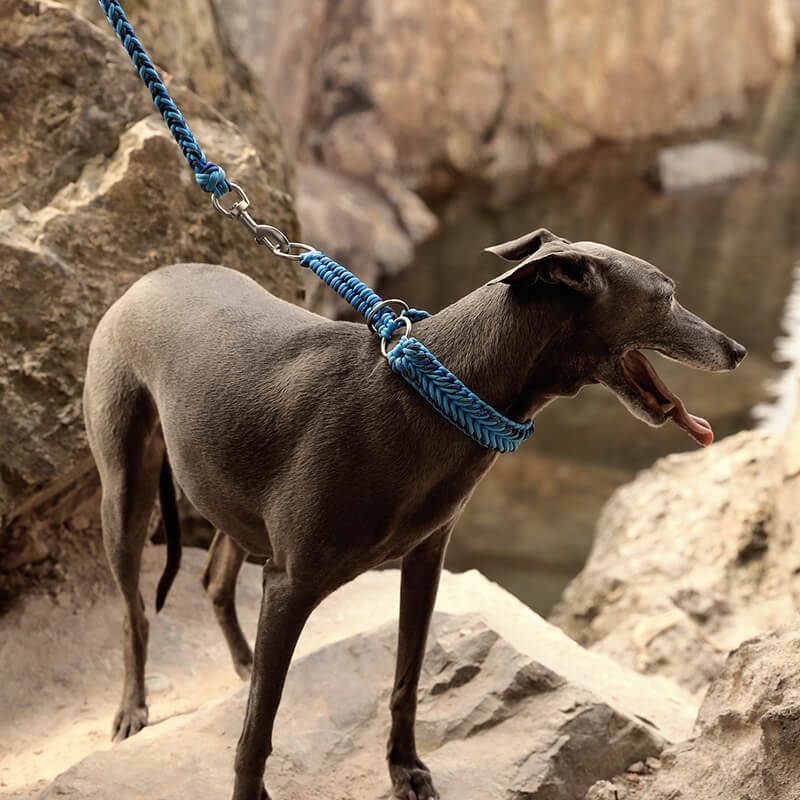 Collier Phosphorescent Tressé Main Grand Chien | Anti-Traction, Visible la Nuit, Nylon Renforcé, S à 2XL