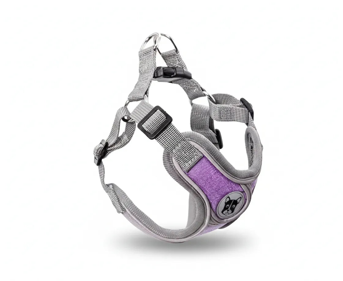 harnais pour chien avec panneaux aeres et sangles de maintien