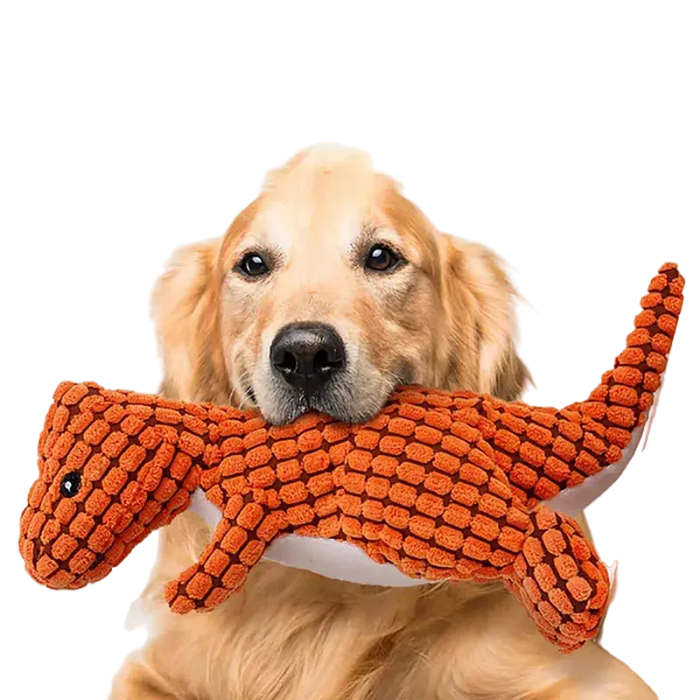 Jouet peluche pour chien en forme de dinosaure, matière douce et résistante
