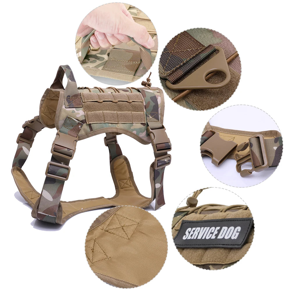 Kit Harnais Tactique Chien + Laisse & Collier | Nylon 1000D, MOLLE, Poignée, Éducation, Marche & Chasse
