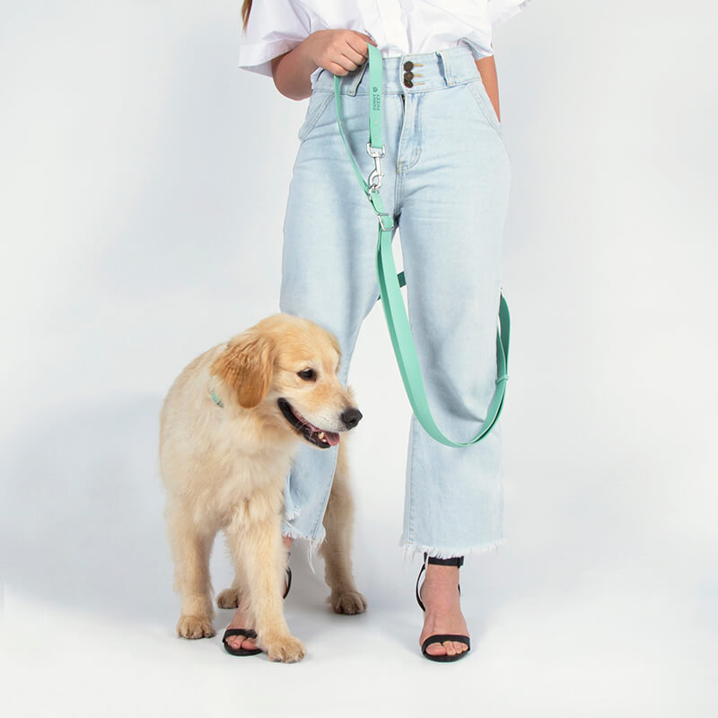 Laisse Imperméable Gummy pour Chien | Plage, Pluie & Baignade, Nettoyage Facile, Couleurs Été