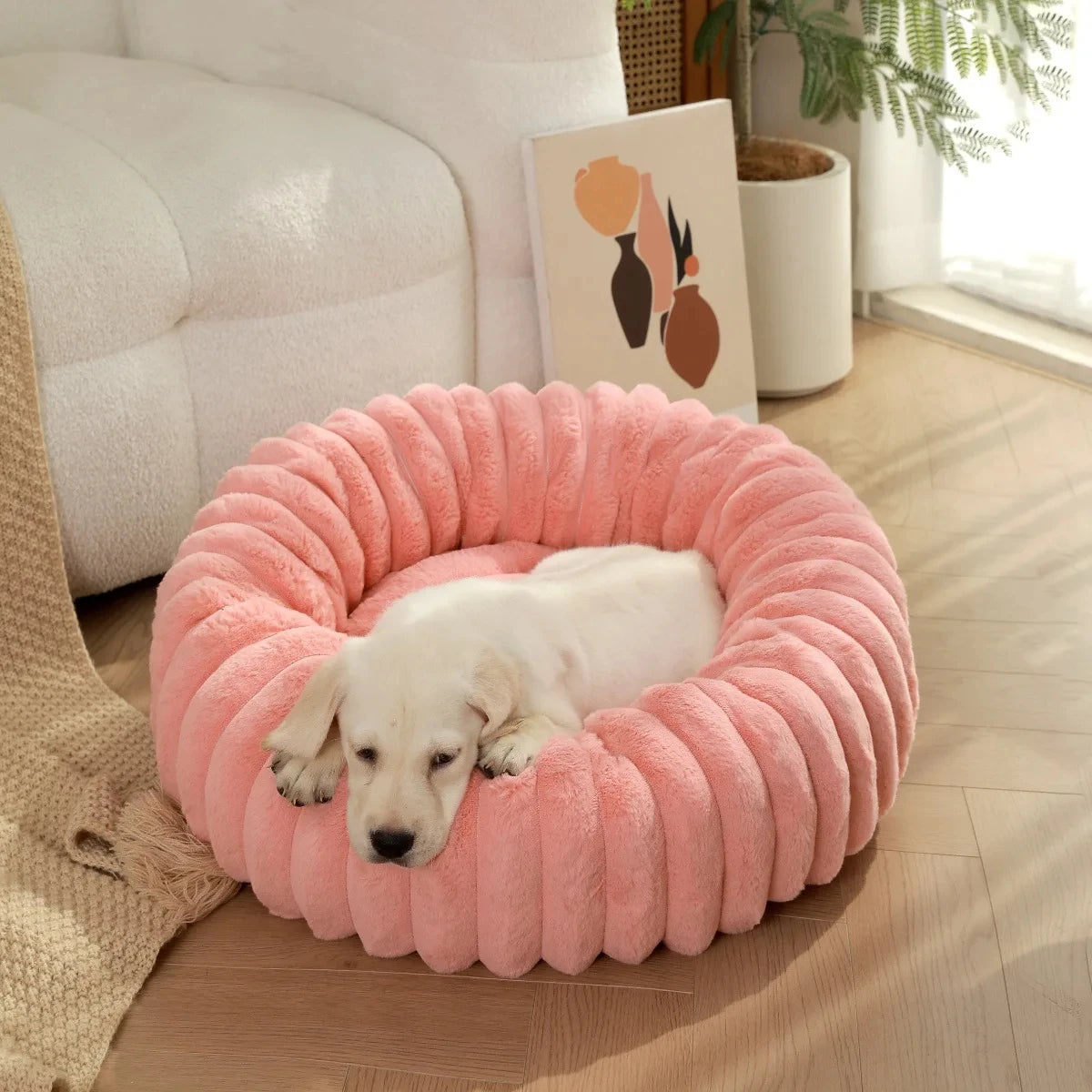 Lit rond pour chien de taille moyenne
