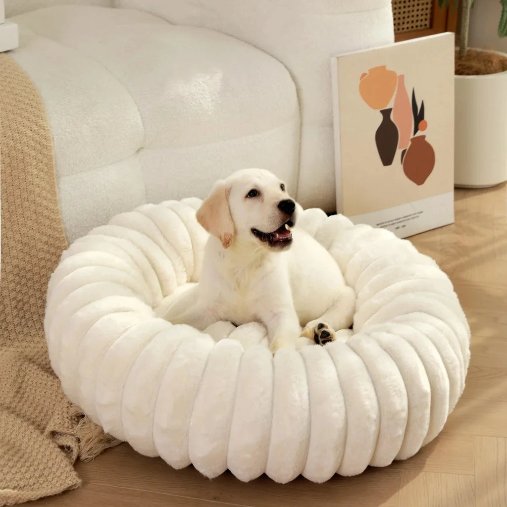 Lit coton pour chien confortable toute saison
