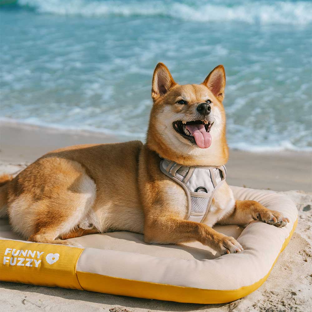 Tapis Orthopédique Résistant pour Chien | Oxford Anti-Déchirure, Réversible, Mémoire de Forme, Toutes Tailles
