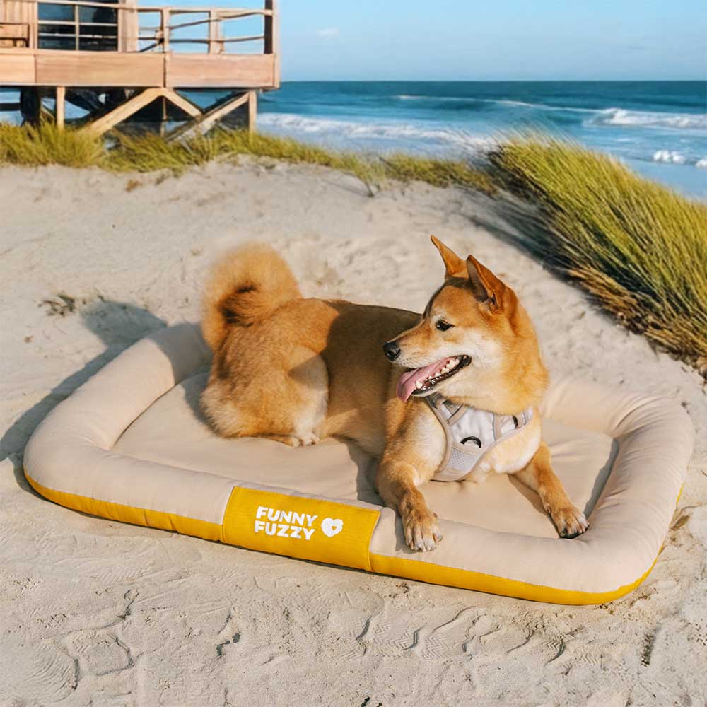 Tapis Orthopédique Résistant pour Chien | Oxford Anti-Déchirure, Réversible, Mémoire de Forme, Toutes Tailles