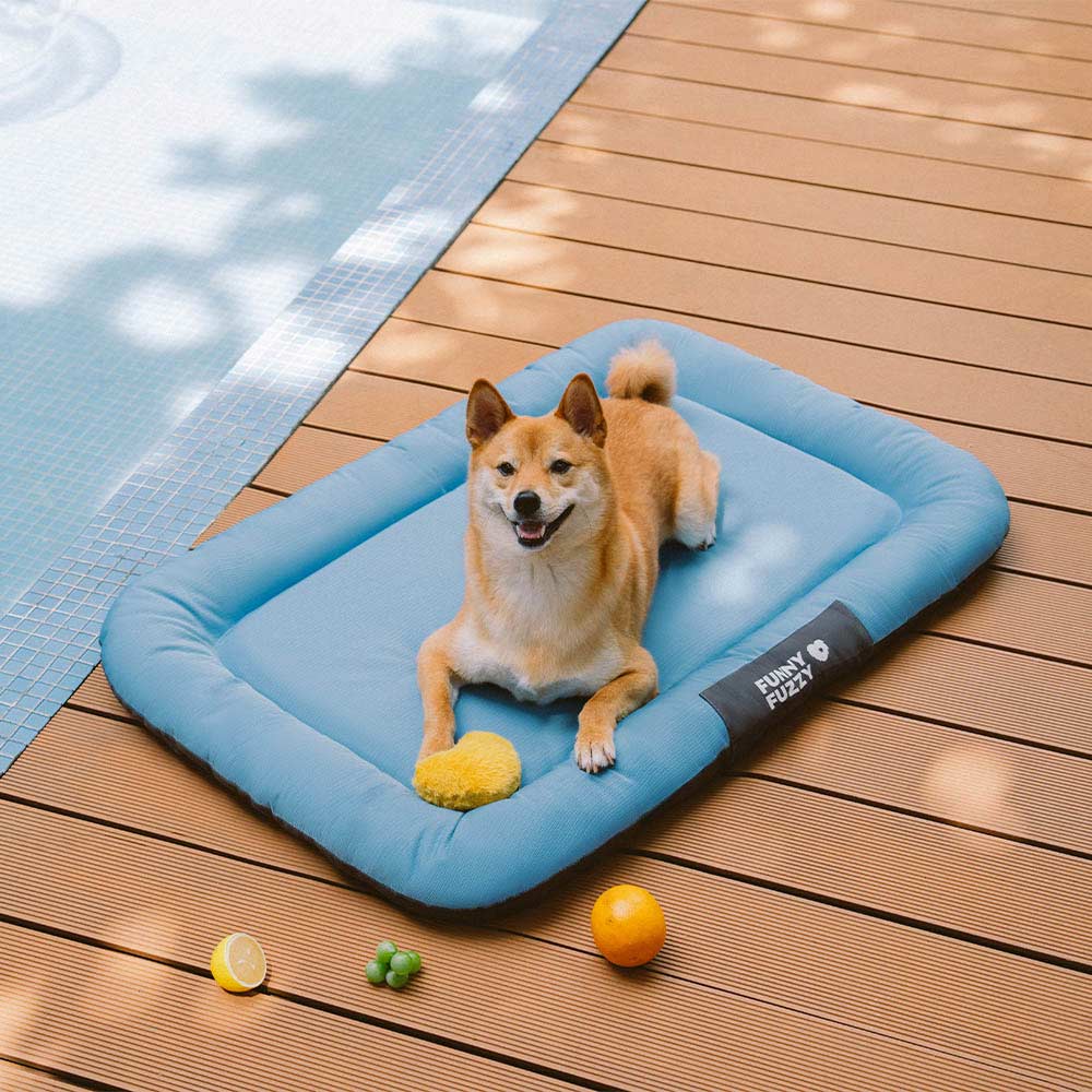 Tapis Orthopédique Résistant pour Chien | Oxford Anti-Déchirure, Réversible, Mémoire de Forme, Toutes Tailles