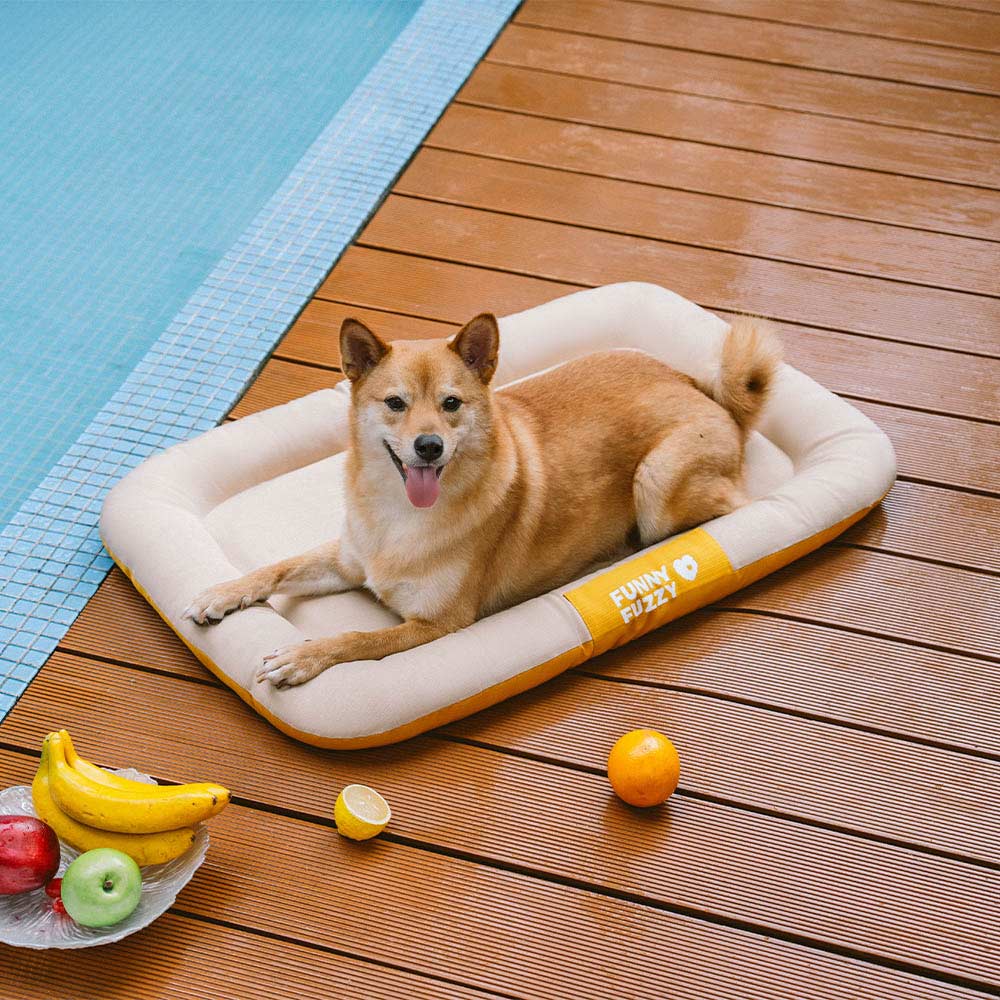 Tapis Orthopédique Résistant pour Chien | Oxford Anti-Déchirure, Réversible, Mémoire de Forme, Toutes Tailles