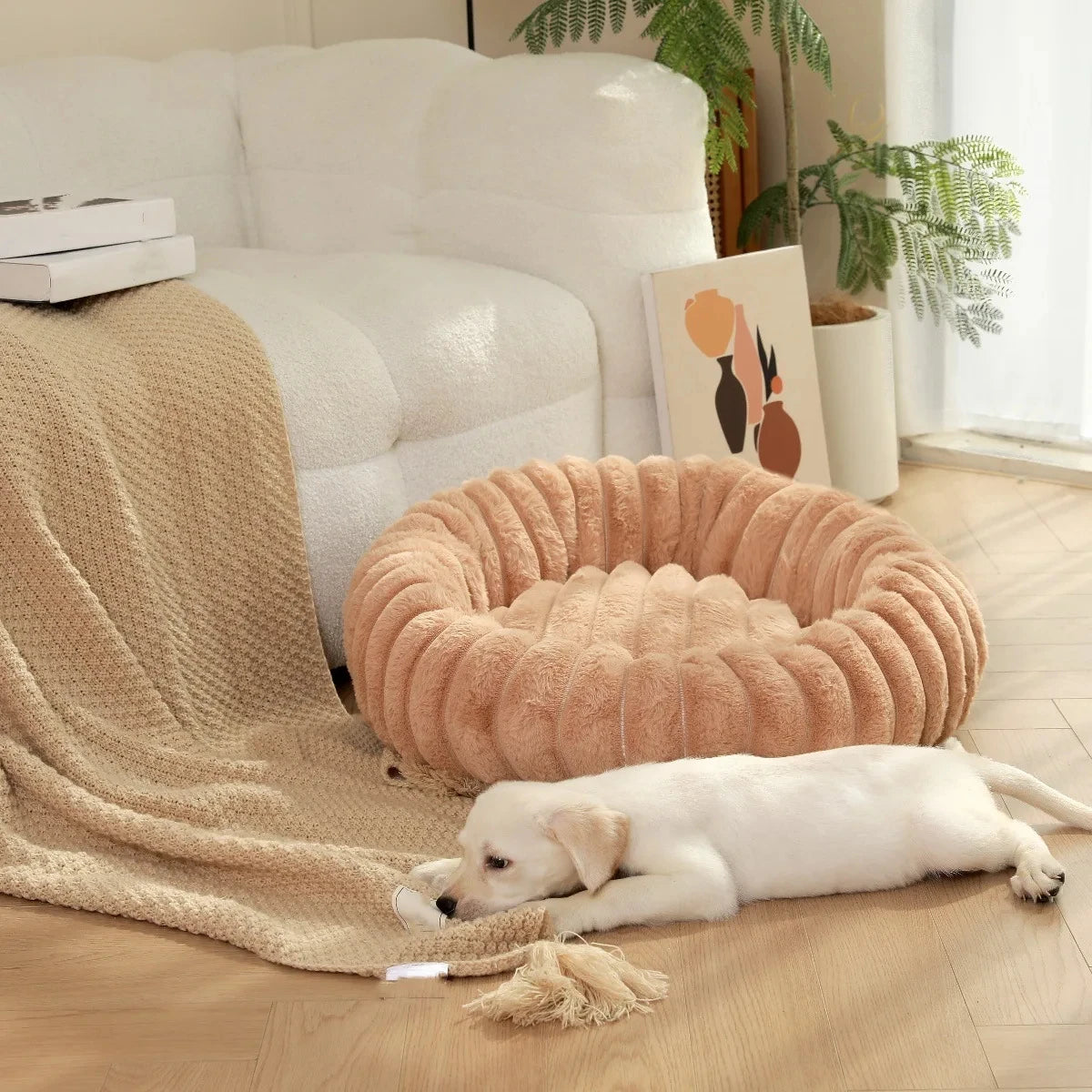 Lit rond pour chien design sobre Dododog
