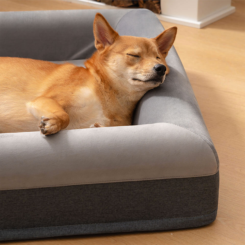 Lit Orthopédique Premium pour Chien | Mousse Haute Densité, Antidérapant, Confort Durable