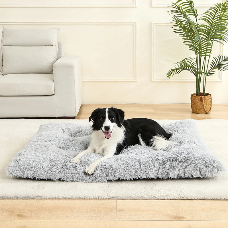 Tapis Chien Peluche Longue XXL | Lavable Machine, Antidérapant, Grand Chien