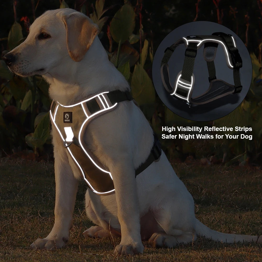 Harnais Imperméable Oxford pour Chien | Anti-Traction, Réfléchissant, Toutes Saisons, Pluie & Boue