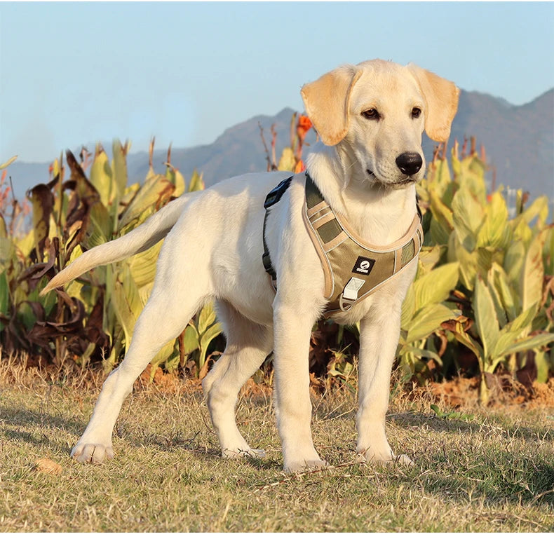 Harnais Imperméable Oxford pour Chien | Anti-Traction, Réfléchissant, Toutes Saisons, Pluie & Boue