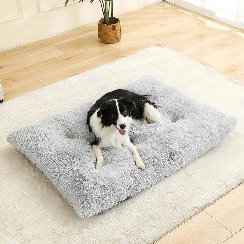 Tapis Chien Peluche Longue XXL | Lavable Machine, Antidérapant, Grand Chien