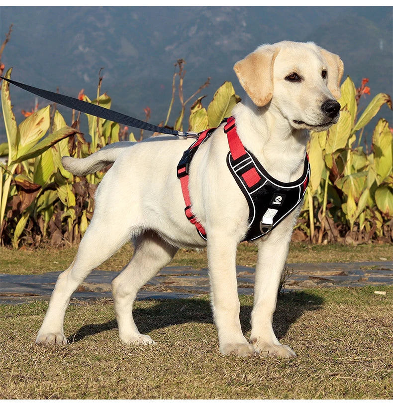Harnais Imperméable Oxford pour Chien | Anti-Traction, Réfléchissant, Toutes Saisons, Pluie & Boue