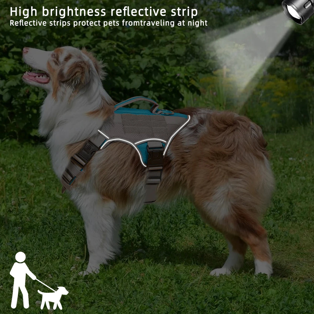 Harnais Éducation Personnalisable Chien | Badge Velcro, Anti-Traction, Respirant & Réfléchissant, Chiot au Grand Chien