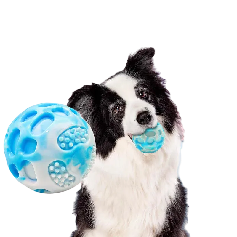 Balle de mastication pour chien