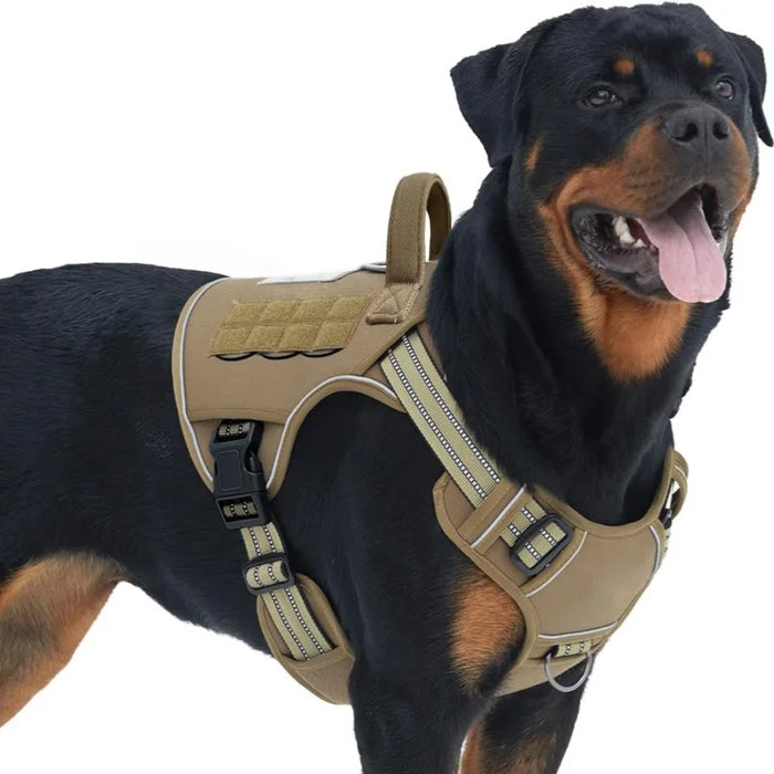 Harnais Cuir Premium pour Chien | Poignée de Maintien, Réglable, Élégant & Résistant, Moyen & Grand Chien