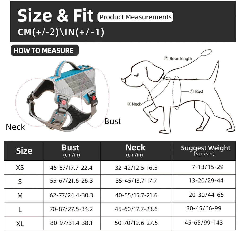 Harnais Éducation Personnalisable Chien | Badge Velcro, Anti-Traction, Respirant & Réfléchissant, Chiot au Grand Chien