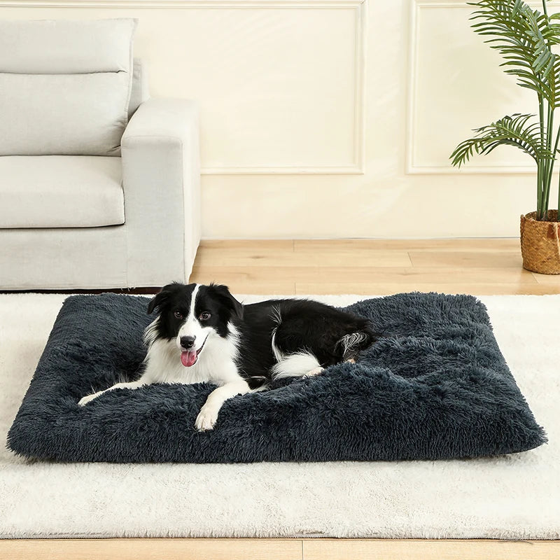 Tapis Chien Peluche Longue XXL | Lavable Machine, Antidérapant, Grand Chien