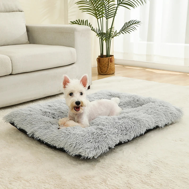 Tapis Chien Peluche Longue XXL | Lavable Machine, Antidérapant, Grand Chien