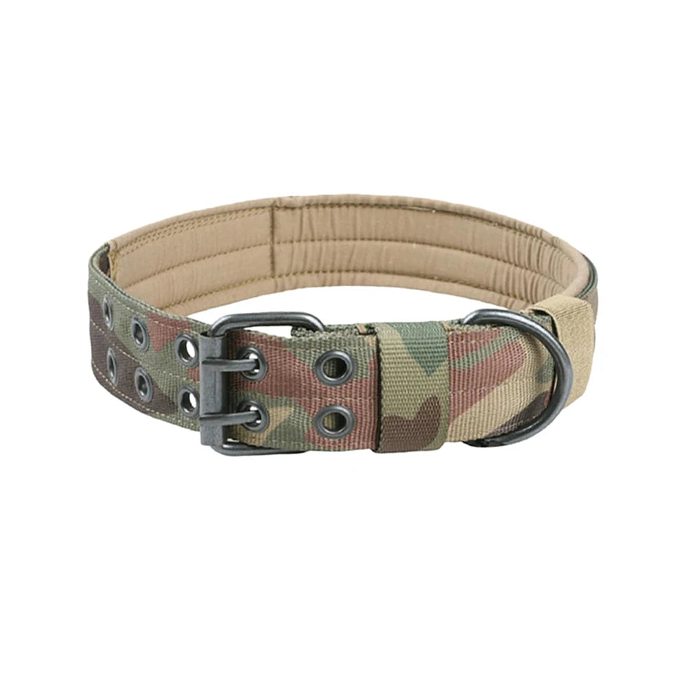 Kit Harnais Tactique Chien + Laisse & Collier | Nylon 1000D, MOLLE, Poignée, Éducation, Marche & Chasse