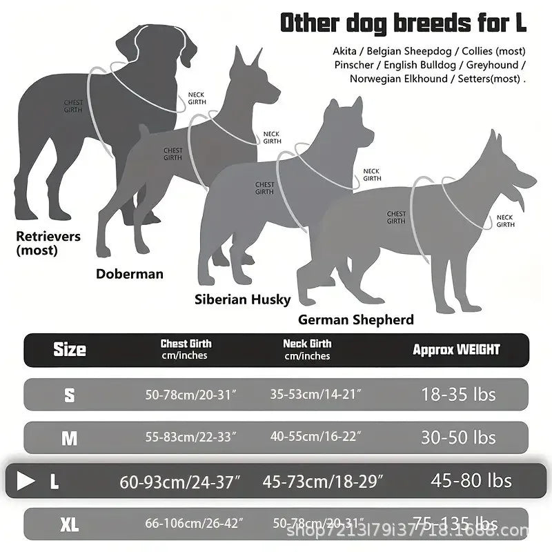 Harnais Cuir Premium pour Chien | Poignée de Maintien, Réglable, Élégant & Résistant, Moyen & Grand Chien