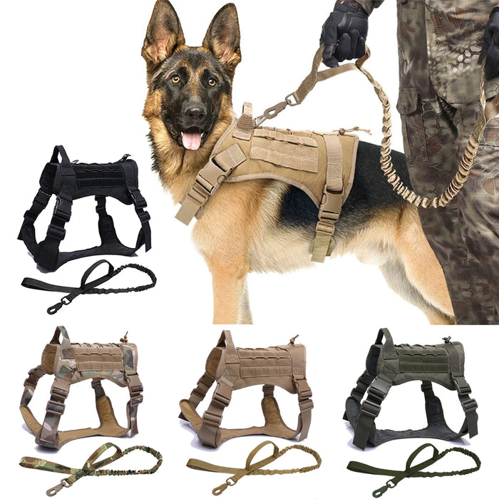 Kit Harnais Tactique Chien + Laisse & Collier | Nylon 1000D, MOLLE, Poignée, Éducation, Marche & Chasse