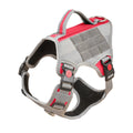 Harnais Éducation Personnalisable Chien | Badge Velcro, Anti-Traction, Respirant & Réfléchissant, Chiot au Grand Chien