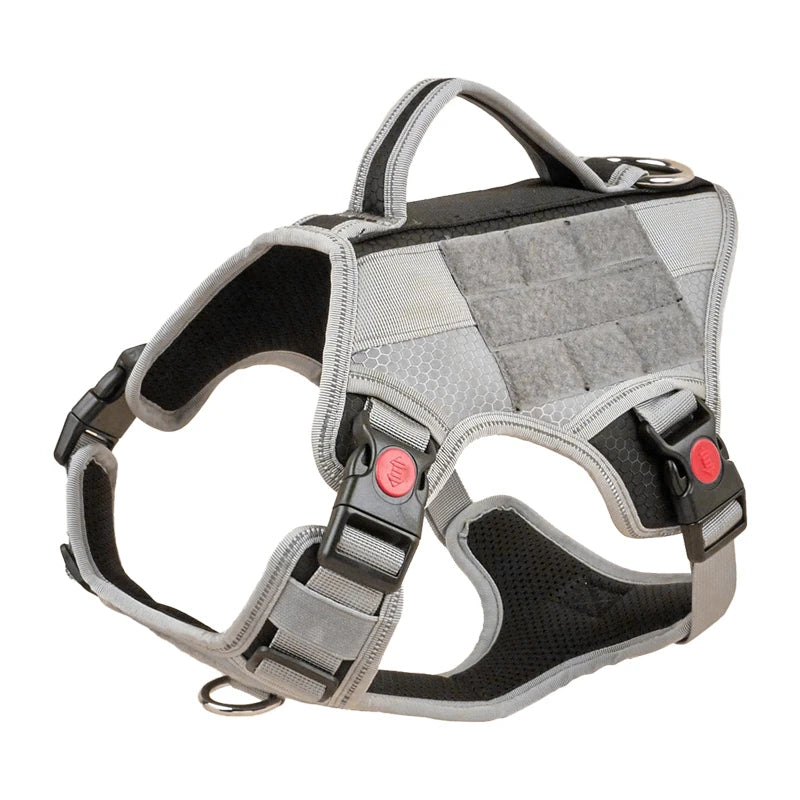 Harnais Éducation Personnalisable Chien | Badge Velcro, Anti-Traction, Respirant & Réfléchissant, Chiot au Grand Chien