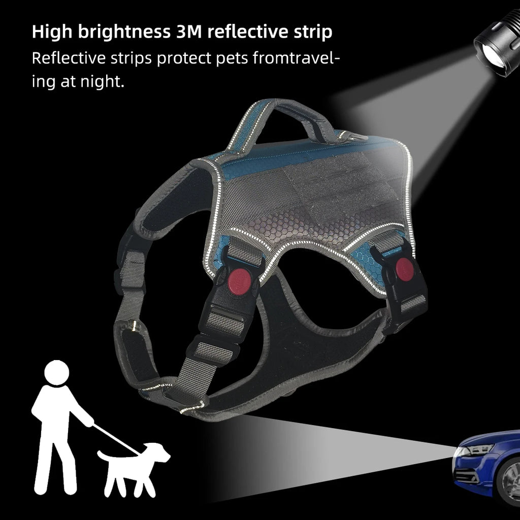 Harnais Éducation Personnalisable Chien | Badge Velcro, Anti-Traction, Respirant & Réfléchissant, Chiot au Grand Chien
