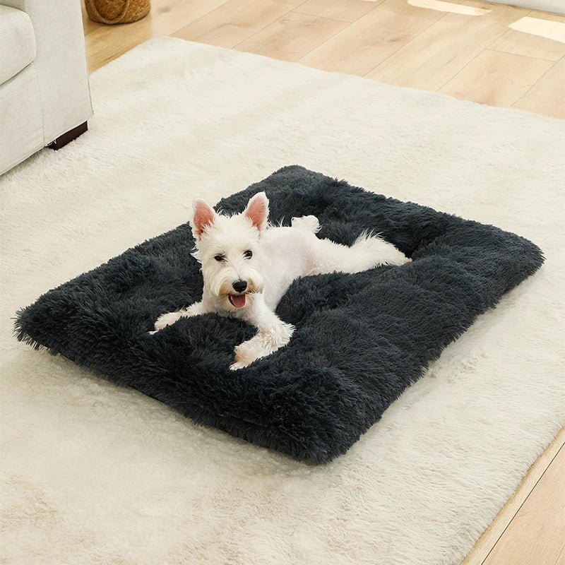 Tapis Chien Peluche Longue XXL | Lavable Machine, Antidérapant, Grand Chien