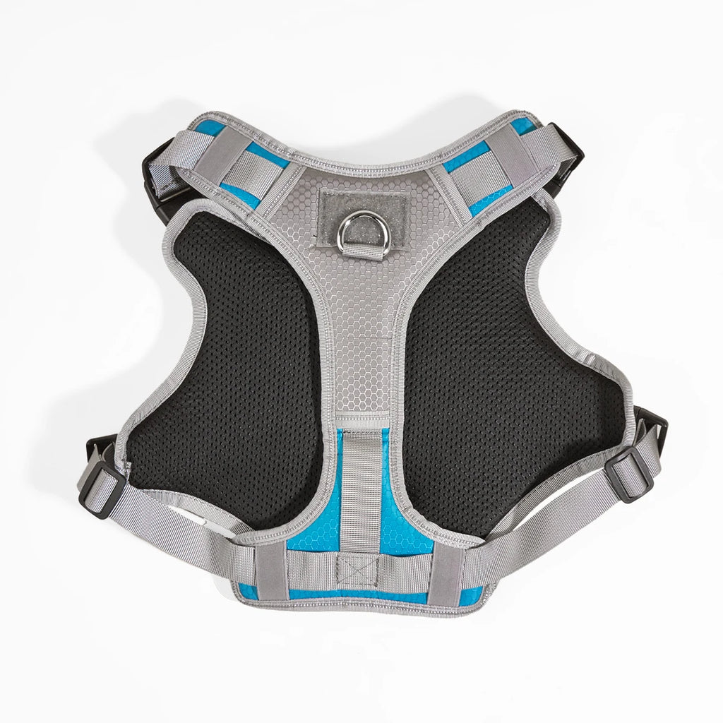 Harnais Éducation Personnalisable Chien | Badge Velcro, Anti-Traction, Respirant & Réfléchissant, Chiot au Grand Chien