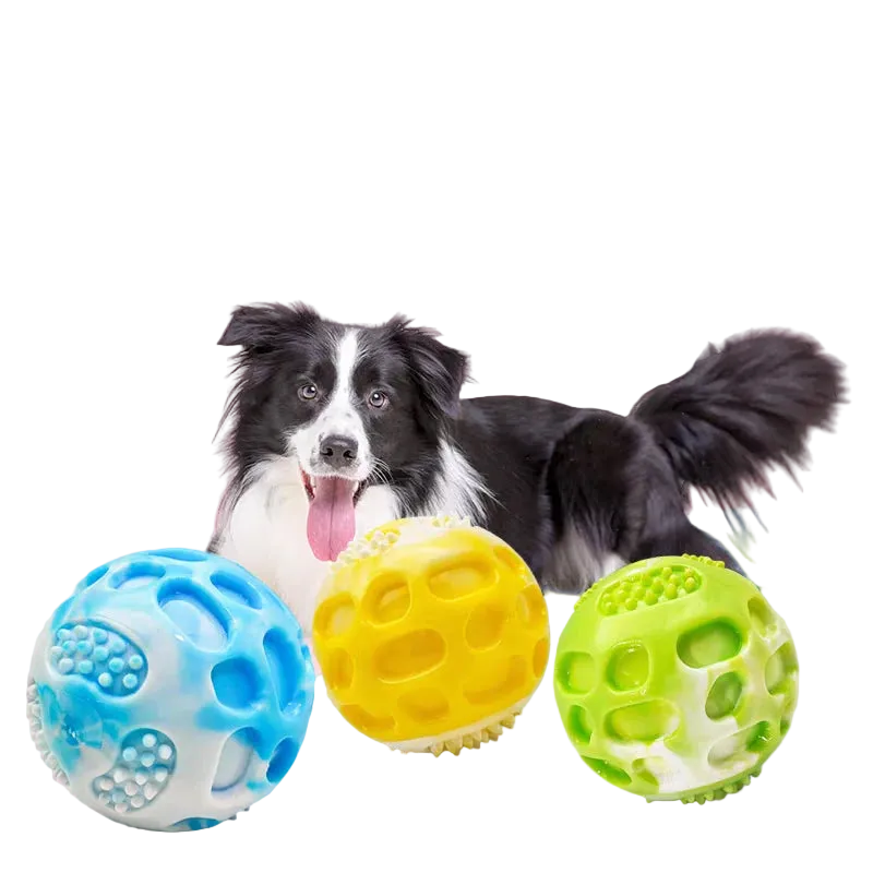 Balle de mastication pour chien
