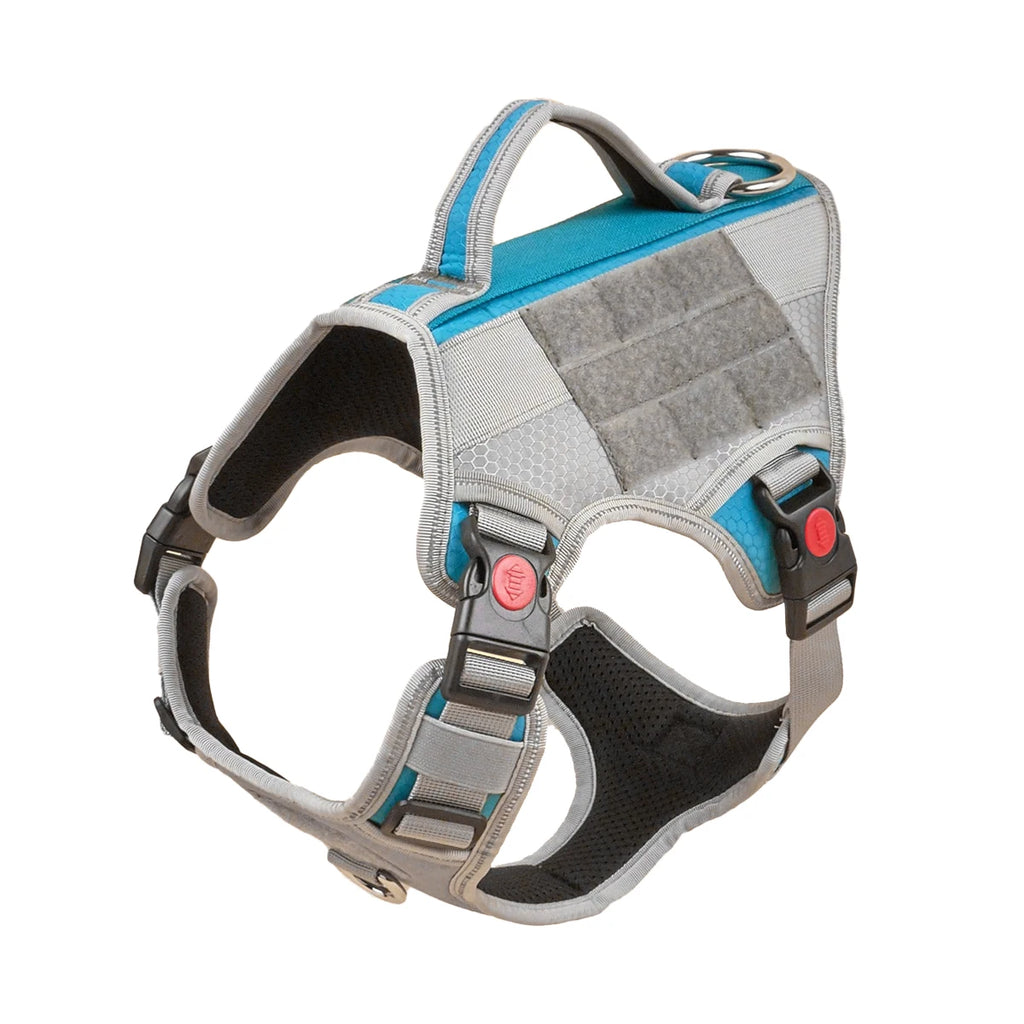 Harnais Éducation Personnalisable Chien | Badge Velcro, Anti-Traction, Respirant & Réfléchissant, Chiot au Grand Chien