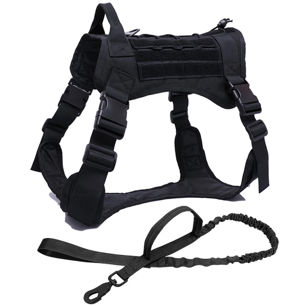Kit Harnais Tactique Chien + Laisse & Collier | Nylon 1000D, MOLLE, Poignée, Éducation, Marche & Chasse