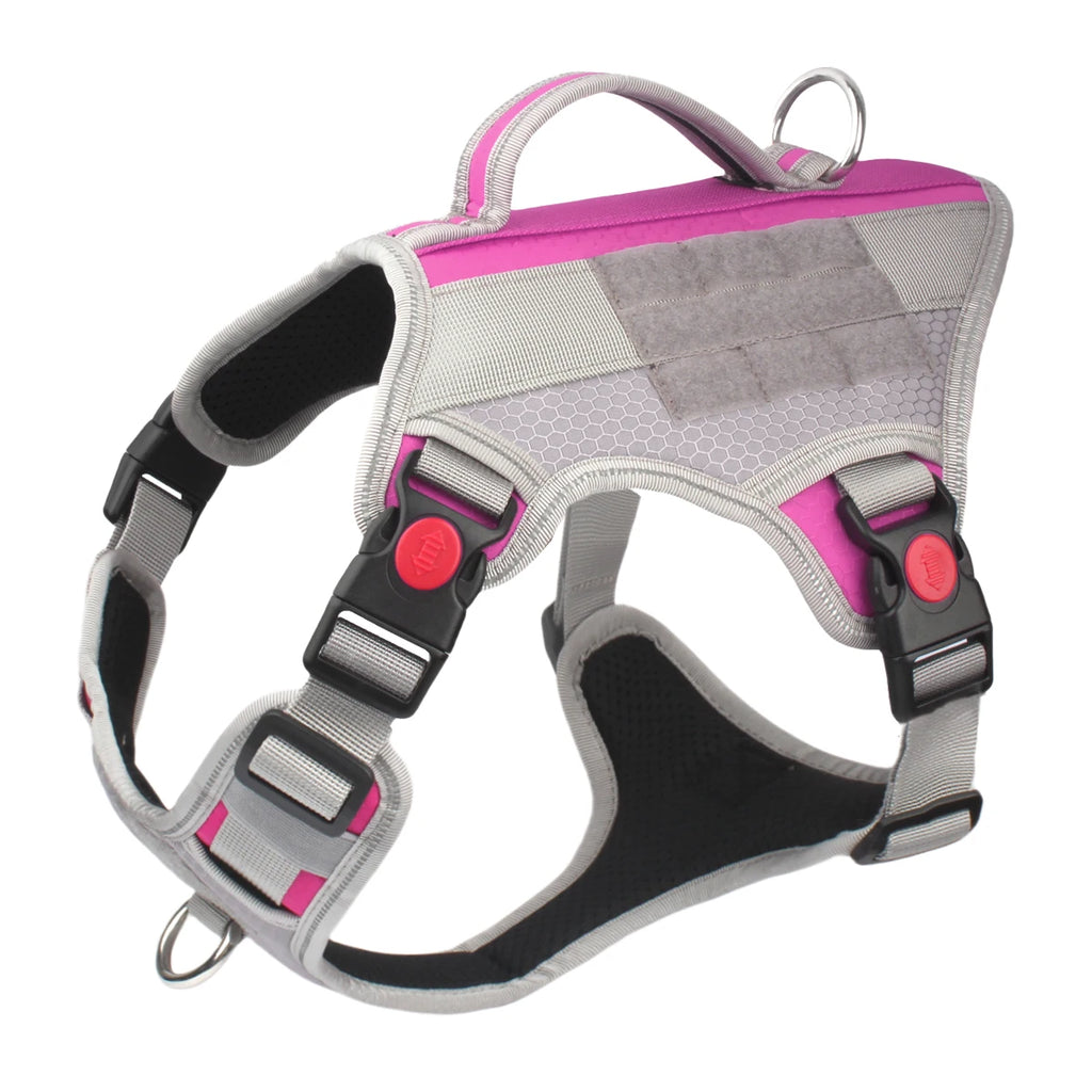 Harnais Éducation Personnalisable Chien | Badge Velcro, Anti-Traction, Respirant & Réfléchissant, Chiot au Grand Chien