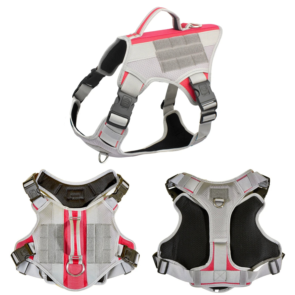 Harnais Éducation Personnalisable Chien | Badge Velcro, Anti-Traction, Respirant & Réfléchissant, Chiot au Grand Chien