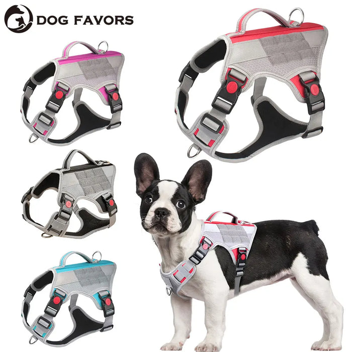 Harnais Éducation Personnalisable Chien | Badge Velcro, Anti-Traction, Respirant & Réfléchissant, Chiot au Grand Chien