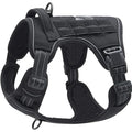 Harnais Cuir Premium pour Chien | Poignée de Maintien, Réglable, Élégant & Résistant, Moyen & Grand Chien