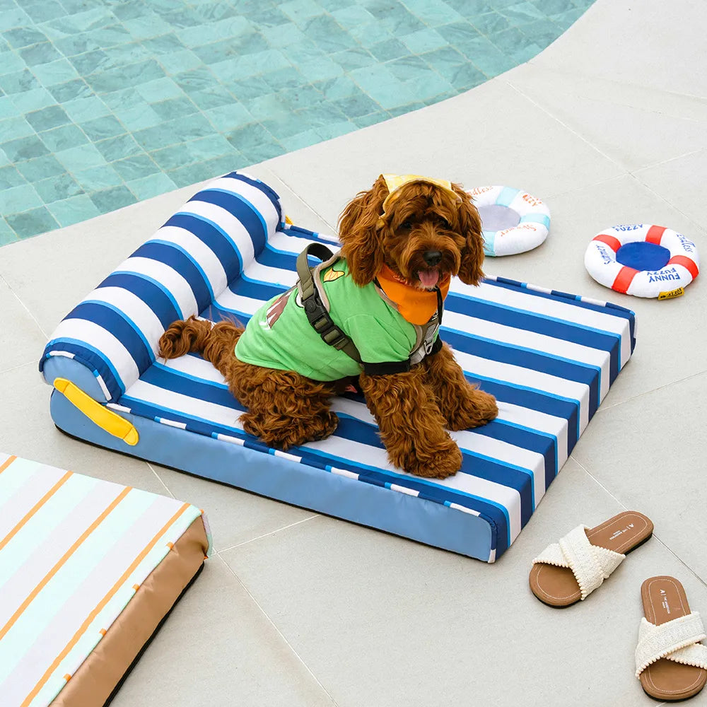 Lit Orthopédique Rafraîchissant pour Chien | Effet Cool-Touch, Mousse de Soutien, Lavable, Toutes Tailles