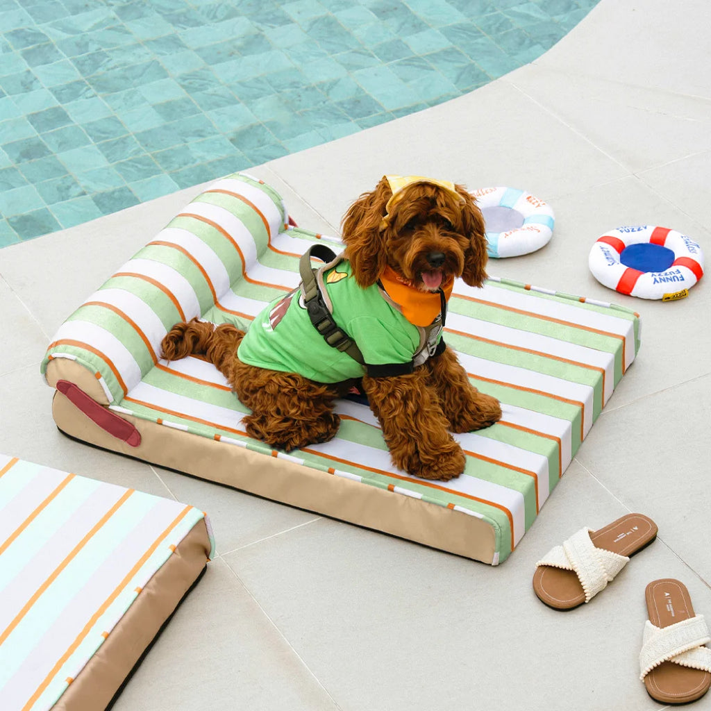 Lit Orthopédique Rafraîchissant pour Chien | Effet Cool-Touch, Mousse de Soutien, Lavable, Toutes Tailles