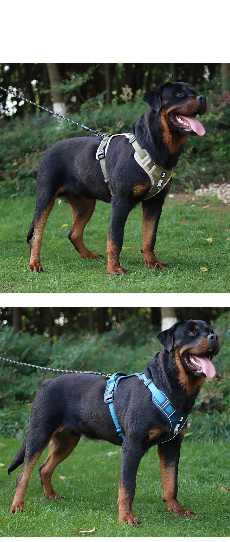 Harnais Imperméable Oxford pour Chien | Anti-Traction, Réfléchissant, Toutes Saisons, Pluie & Boue