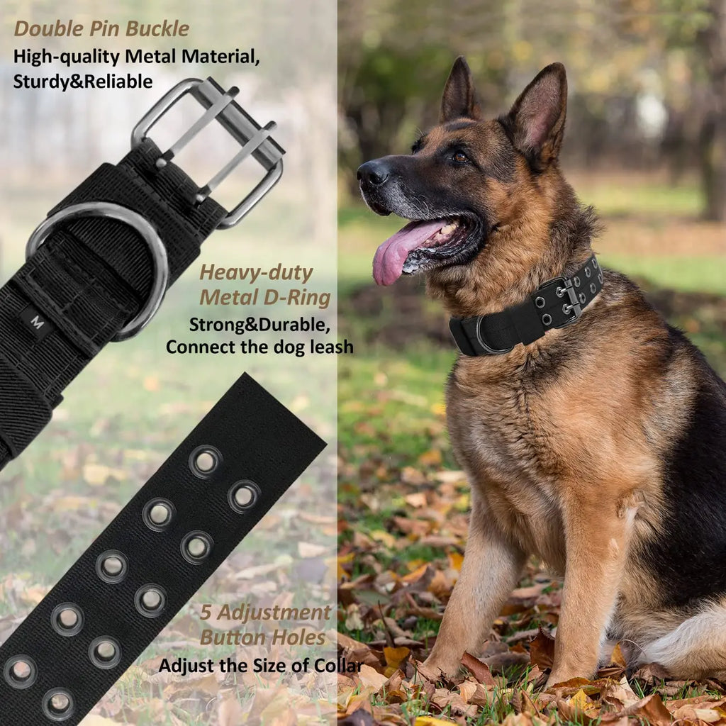 Kit Harnais Tactique Chien + Laisse & Collier | Nylon 1000D, MOLLE, Poignée, Éducation, Marche & Chasse