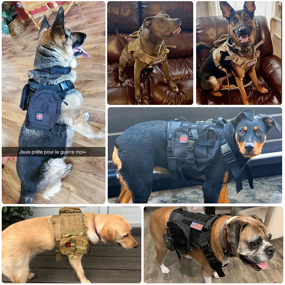 Kit Harnais Tactique Chien + Laisse & Collier | Nylon 1000D, MOLLE, Poignée, Éducation, Marche & Chasse