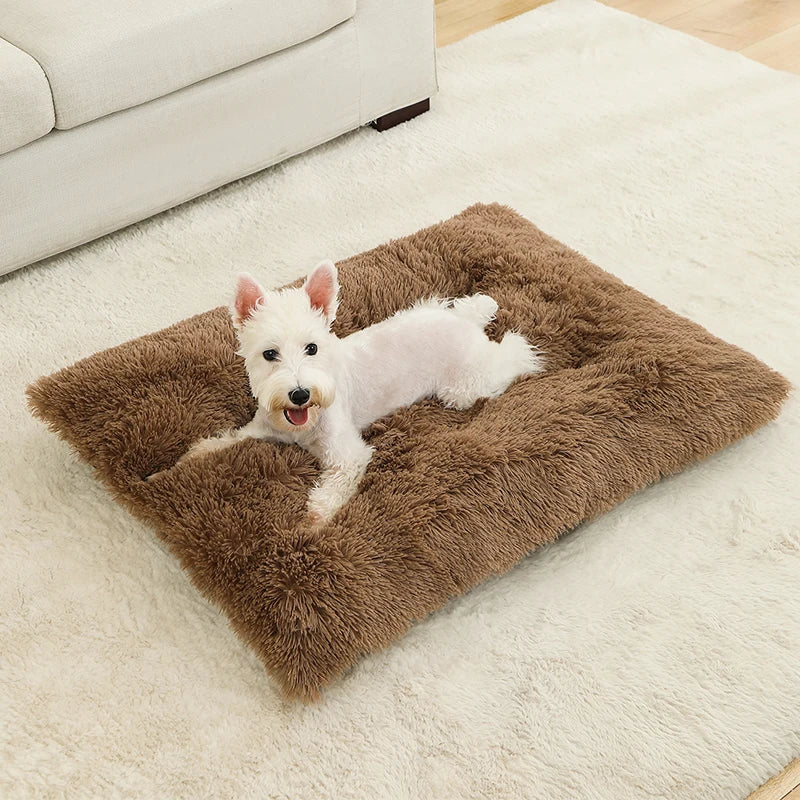Tapis Chien Peluche Longue XXL | Lavable Machine, Antidérapant, Grand Chien