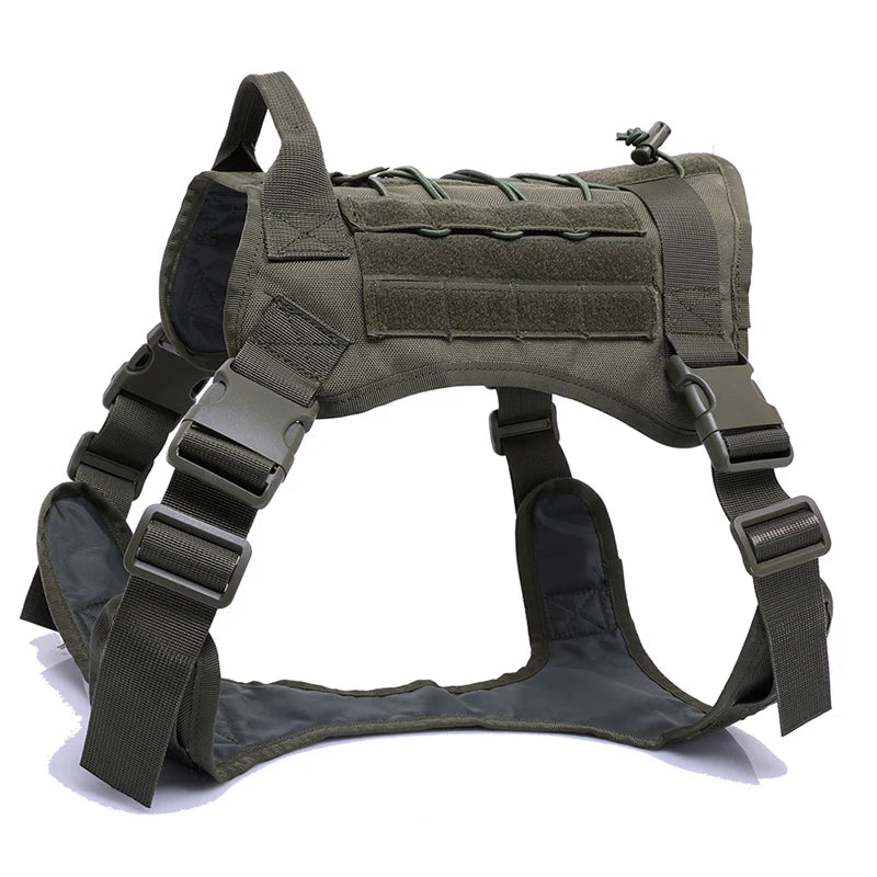 Kit Harnais Tactique Chien + Laisse & Collier | Nylon 1000D, MOLLE, Poignée, Éducation, Marche & Chasse
