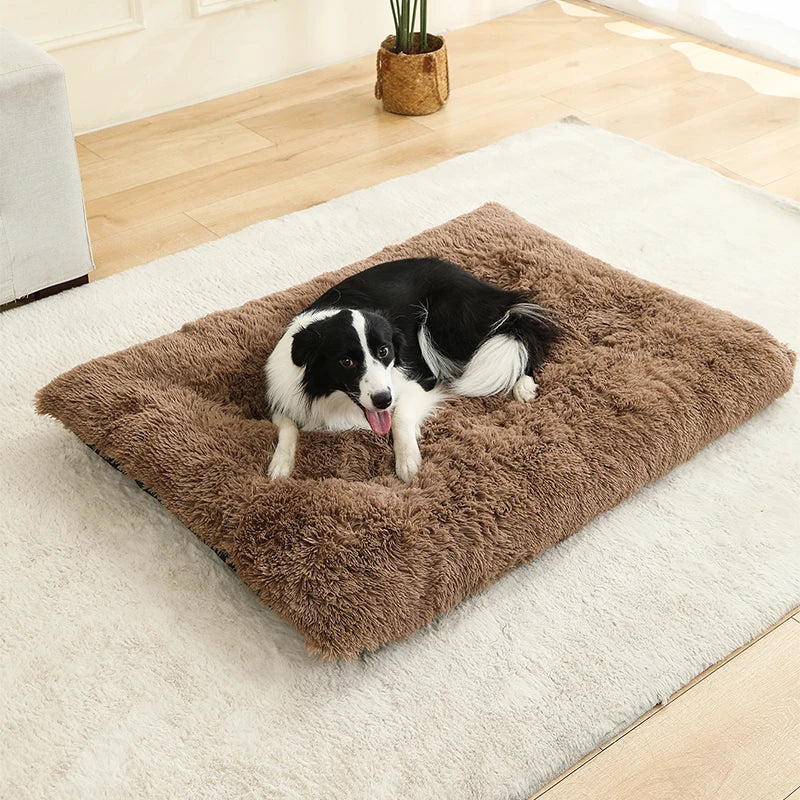 Tapis Chien Peluche Longue XXL | Lavable Machine, Antidérapant, Grand Chien