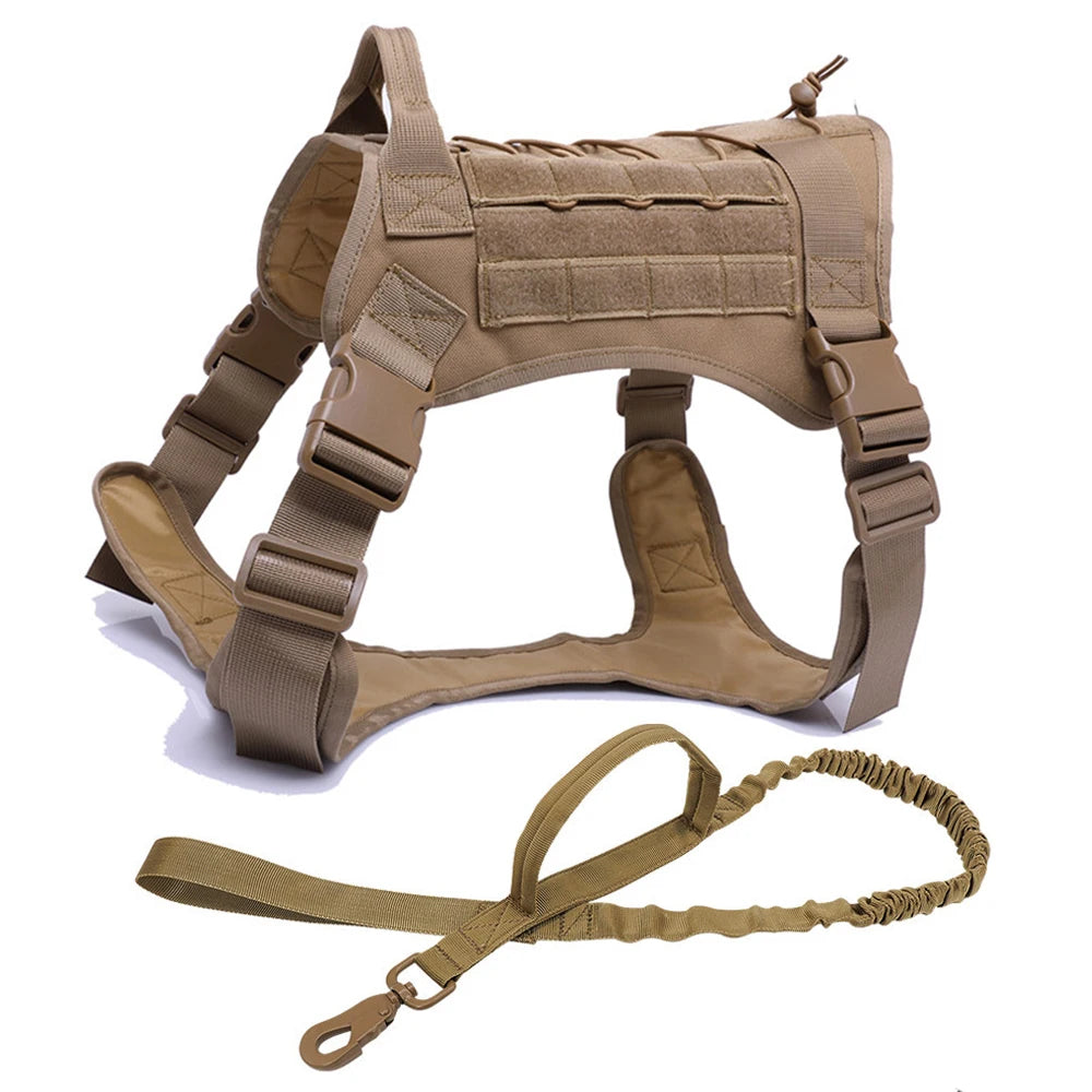 Kit Harnais Tactique Chien + Laisse & Collier | Nylon 1000D, MOLLE, Poignée, Éducation, Marche & Chasse