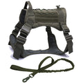 Kit Harnais Tactique Chien + Laisse & Collier | Nylon 1000D, MOLLE, Poignée, Éducation, Marche & Chasse