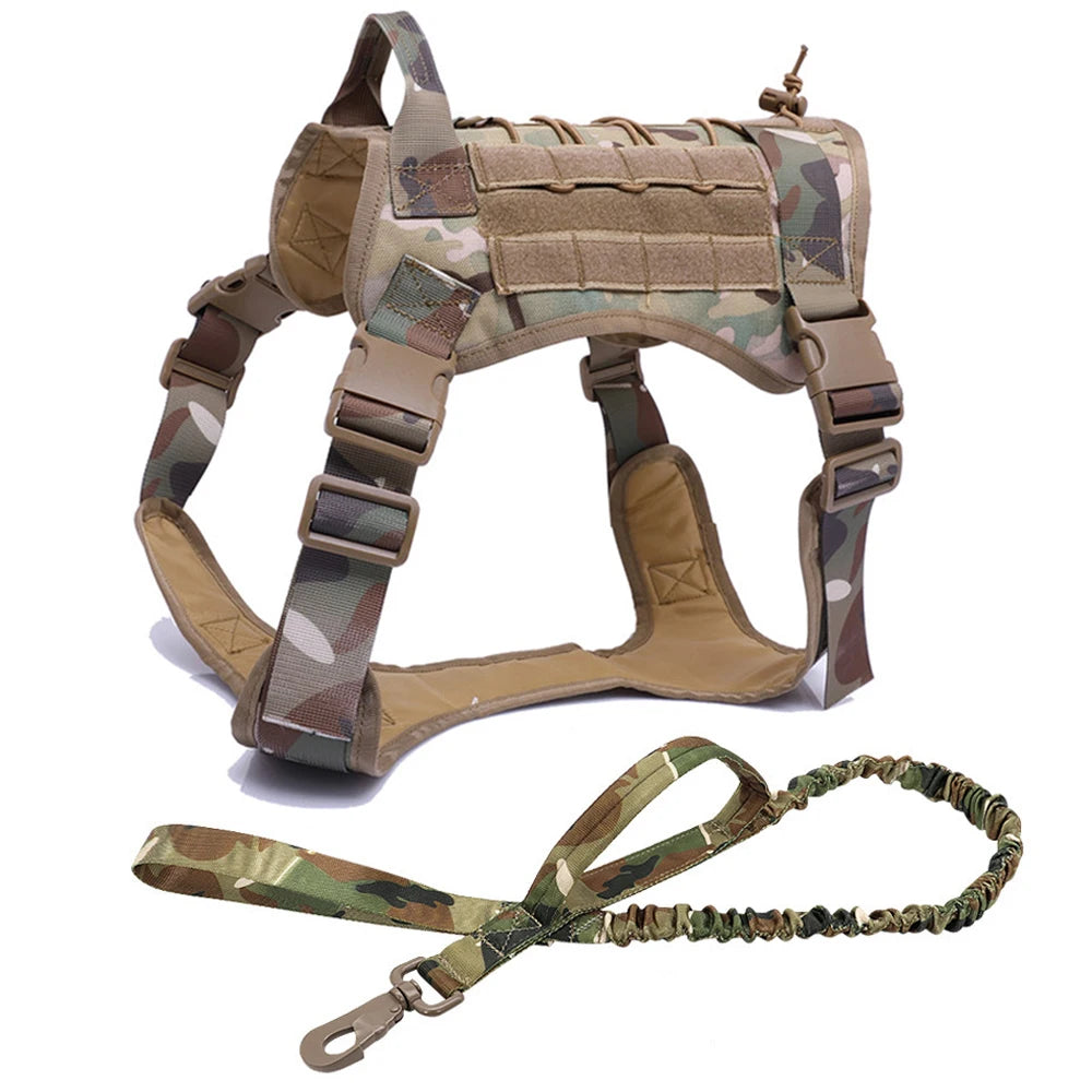 Kit Harnais Tactique Chien + Laisse & Collier | Nylon 1000D, MOLLE, Poignée, Éducation, Marche & Chasse